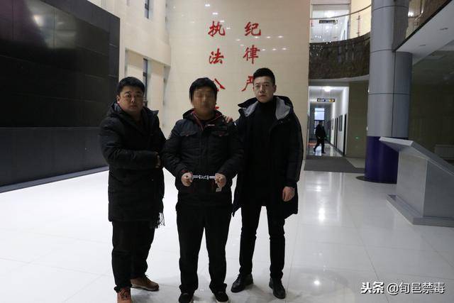 钊辉自首最新动态，深度解析与案例分析