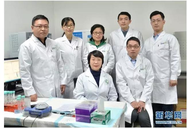 绿谷最新药，神奇友情疗效与温馨日常体验