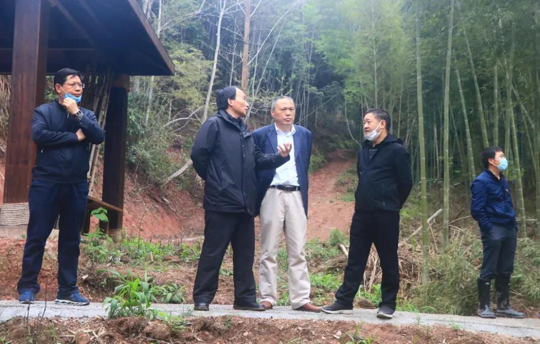 全国疫情最新消息下的自然美景探索之旅