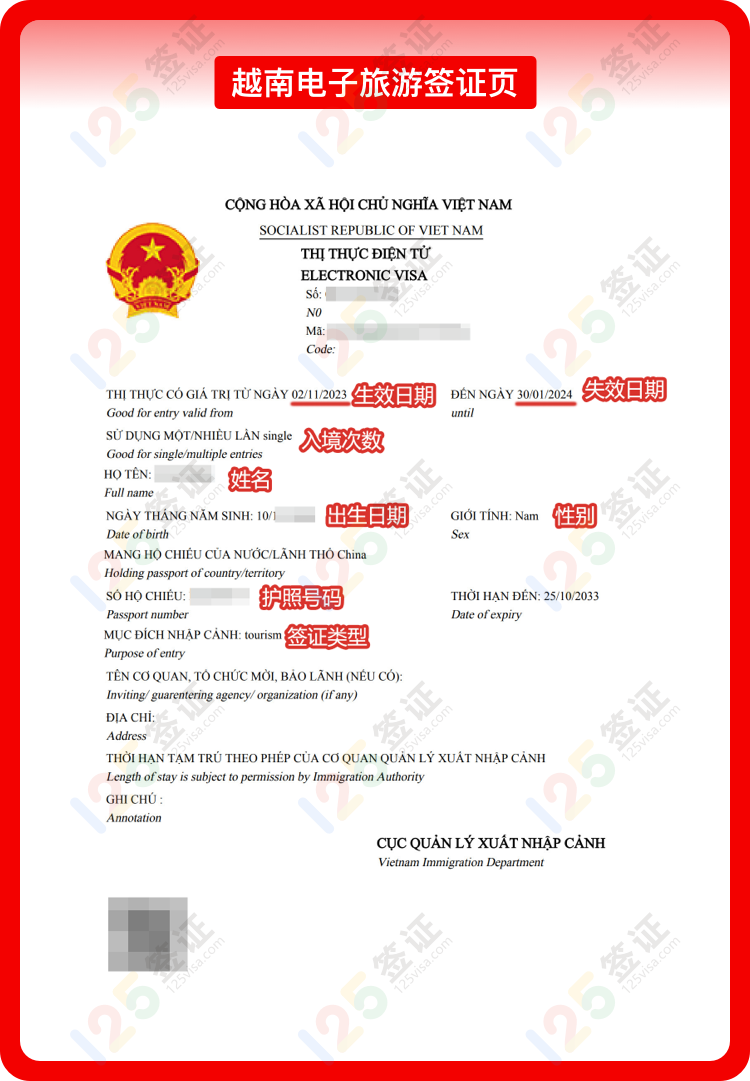 越南口岸最新风情，小巷中的独特美食与文化探索之旅